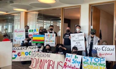 Google CEO ऑफिस में घुसी न्यूयॉर्क पुलिस, कई लोग हुए गिरफ्तार, क्या है गाजा-इजरायल कनेक्शन?