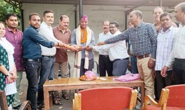 भटक कर शहर में पहुंचा हाथी, सडक़ हादसे में भालू की मौत