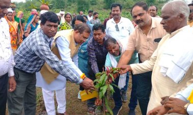 माननीय फग्गन सिंह कुलस्ते जी के द्वारा एक पेड़ मां के नाम पर पौधा रोपड़ किया गया