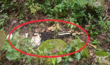 40 दिन से लापता थे युवक-युवती, जंगल में मिला कंकाल, जांच में जुटी पुलिस