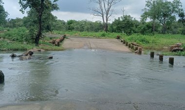 जंगल में हुई बारिश से उफान पर नदी-नाले:ककरधा-पातालगढ़ रोड पर बने 3 रपटे पानी से डूबे, जोखिम उठाकर रपटे पार कर रहे लोग