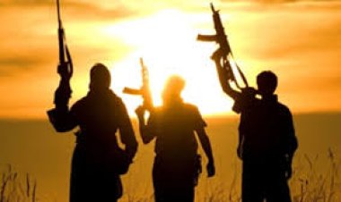 पाकिस्तान: पंजाब प्रांत में पुलिस ने 7 आतंकवादियों को मार गिराने का किया दावा