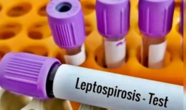 फिलीपींस में लगातार बढ़ रहे लेप्टोस्पायरोसिस के मामले