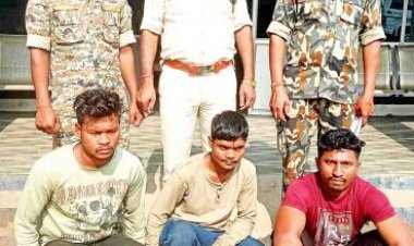 युवती से छेडख़ानी, तीन गिरफ्तार