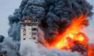 गाजा में इजराइली हमलों में 14 फलस्तीनी मारे गए : चिकित्सा अधिकारी