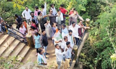 चित्रकोट में सैकड़ों पेड़ों की अवैध कटाई, हो कड़ी कार्रवाई- सुशील मौर्य