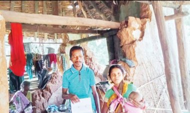 हाथी प्रभावित ग्रामीण मुआवजा पाने 1 वर्ष से लगा रहे चक्कर