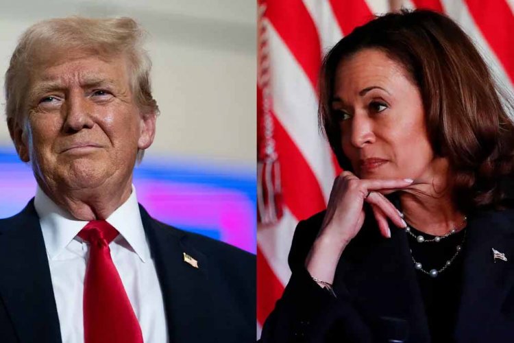 डोनाल्ड की बढ़त को शेयर बाजार का सलाम… Sensex-Nifty ने लगाई दौड़, ये 10 शेयर बने रॉकेट