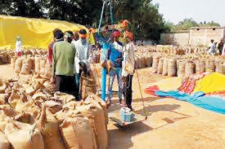धान खरीदी शुरू, पहले दिन 30 केंद्रों में बोहनी नहीं