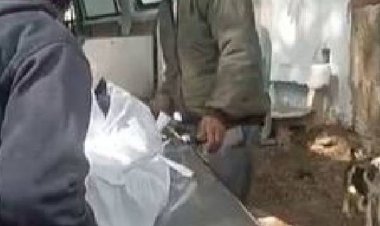 भोपाल में महिला ने फांसी लगाकर दी जान:सुसाइड से पहले सास से बोली- दुआएं देती रहा करो