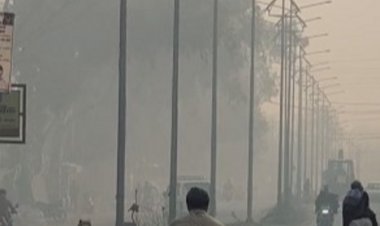 रायसेन में शीत लहर चलने से बढ़ी ठिठुरन:सीजन में दूसरी बार रात का न्यूनतम तापमान 3.8 डिग्री दर्ज, पौधों पर जमी ओस की बूंदें