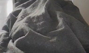 शिवपुरी में ट्रक ने बाइक को टक्कर मारी:एक युवक की मौत, एक घायल, रात में खाना लेने होटल जा रहे थे