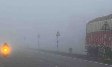 मंदसौर में कोहरे की वजह से विजिबिलिटी घटी:3 डिग्री गिरा तापमान, नए साल में पड़ सकती है कड़ाके की ठंड
