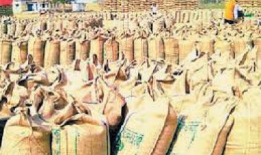 अब तक मात्र 30 से 35 फीसदी धान उठाव 18 केंद्रों में 3.4 लाख क्विंटल जाम