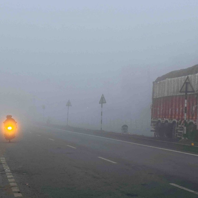 मंदसौर में कोहरे की वजह से विजिबिलिटी घटी:3 डिग्री गिरा तापमान, नए साल में पड़ सकती है कड़ाके की ठंड