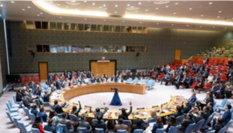 पाकिस्तान 2025 में सुरक्षा परिषद में होगा शामिल ; क्या हैं इसके मायने?