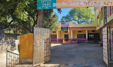 शाजापुर भाजपा में सत्ता और संगठन का खेल:कौन बनेगा जिला अध्यक्ष?; गुटबाजी में महिला को मिल सकती है कमान