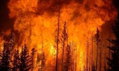 लॉस एंजेलिस में लगी आग कहां तक फैली? अब तक कितना हुआ नुकसान