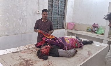 नवागढ़ गोधना मे ईट से भरी टैकटर पलटने से युवक की हुई मौत,,