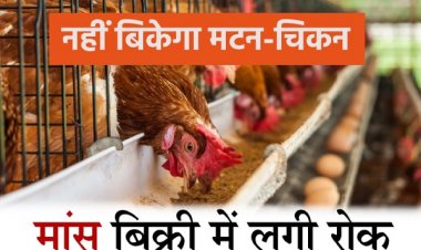 रायपुर : गणतंत्र दिवस और महात्मा गांधी निर्वाण दिवस पर मांस-मटन की बिक्री पर रहेगा पूर्ण प्रतिबंध "नगर निगम द्वारा आदेश जारी