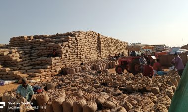 रायपुर : साल दर साल टूटा धान खरीदी का रिकार्ड " प्रदेश में 149 लाख मीट्रिक टन से अधिक धान की  हुई खरीदी.... जानिए पूरा आंकड़ा