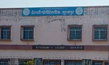 खैरात के सफर में ही डकार गए लाखों का भत्ता, व्याख्याता ने पेश किए फर्जी बिल, जिम्मेदार अधिकारियों के आंख के नीचे हो रहा खेल...!