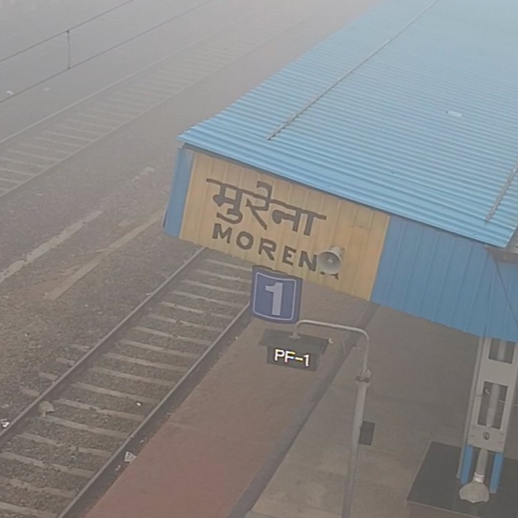 मुरैना में सीजन का सबसे अधिक कोहरा:कृषि वैज्ञानिकों के अनुसार गेहूं और सरसों की फसल के लिए लाभदायक, न्यूनतम तापमान 8 डिग्री दर्ज