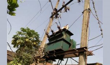 जशपुर न्यूज: पत्थल गांव के तमता में पिछले 3 महीनों से ट्रांसफार्मर खराब, लोग परेशान