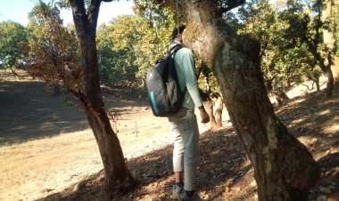 BIG BREAKING JASHPUR: 21 वर्षीय युवक ने फांसी लगाकर की आत्महत्या" बगीचा में करता था काम.....जांच में जुटी  पुलिस 