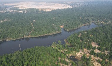 रायपुर : बस्तर क्षेत्र में वन आवरण के घनत्व में हुई उल्लेखनीय वृद्धि,  बस्तर क्षेत्र में  विरल वन का 450 वर्ग किमी क्षेत्र हुआ सघन वन में तब्दील