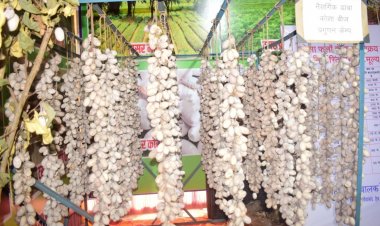 रायपुर : राजिम कुंभ मेला में कोसा की प्रदर्शनी आकर्षण का केन्द्र राजिम कुंभ मेला, ग्रामोद्योग विभाग द्वारा लोगों को दी जा रही जानकारी