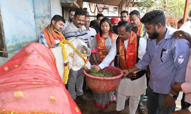 रायपुर : गौ-माता की सेवा कर कृषि मंत्री श्री राम विचार नेताम  ने मनाया अपना जन्मदिन...