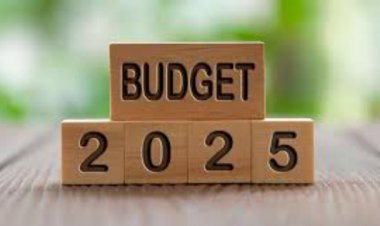 रायपुर : अनुसूचित जनजाति बाहुल्य क्षेत्र में शोध को बढ़ावा,शासन के वर्ष 2025-26 के बजट मे  श्रीमंत शंकर देव अनुसंधान पीठ के लिए दो करोड़ का प्रावधान...