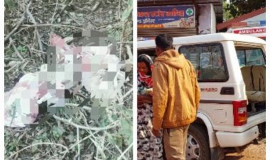 न्यूज – राजपुरी नदी किनारे झाड़ियों में मिली नवजात शिशु, वार्ड पार्षद और पुलिस में बच्ची को पहुंचाया अस्पताल।