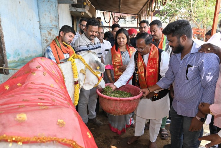 रायपुर : गौ-माता की सेवा कर कृषि मंत्री श्री राम विचार नेताम  ने मनाया अपना जन्मदिन...