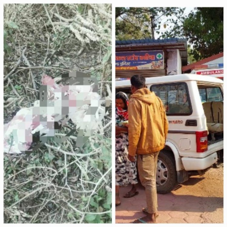 न्यूज – राजपुरी नदी किनारे झाड़ियों में मिली नवजात शिशु, वार्ड पार्षद और पुलिस में बच्ची को पहुंचाया अस्पताल।