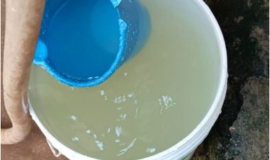 जशपुर:गर्मी शुरू होते ही जिले के गहराया पानी का संकट " कई वार्डों में हो रही गंदे पानी की सप्लाई, वार्डवासी परेशान.... पढ़िए पूरी खबर