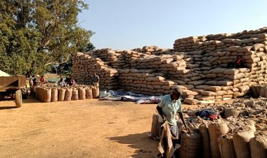 प्राथमिक कृषि साख सहकारी सोसाइटियों की पुनर्गठन योजना 2025 जारी जिले में सोसाइटियों के पुनर्गठन के संबंध में दावा आपत्ति 23 अप्रैल तक आमंत्रित