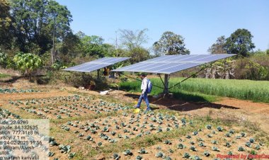 सौर सुजला योजना  विगत 14 माह से अब तक जिले में 216 संयंत्र पम्प किया गया स्थापित, योजना से सिंचाई सुविधा उपलब्ध होने पर जिले के किसान रबी और खरीफ फसलों के साथ-साथ साग-सब्जियों का भी कर रहे उत्पादन किसानों के आय में हो रही बढ़ोत्तरी