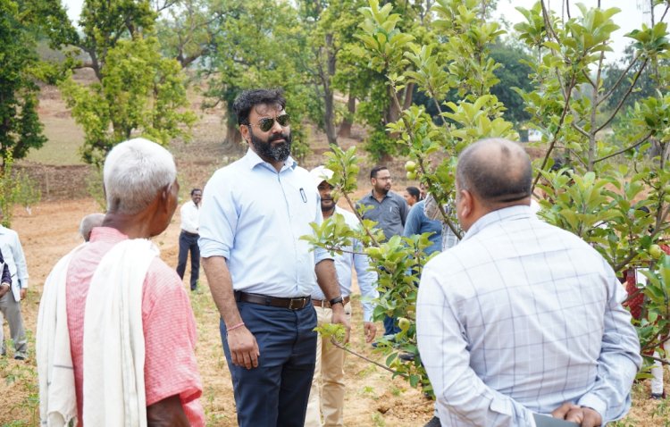 जशपुर:कलेक्टर और जिला पंचायत सीईओ ने ग्राम करदना में किसानों की सेब और नाशपाती खेती का किया अवलोकन,208 किसान कर रहे फलों की खेती फलों की खेती के साथ मेथी,टमाटर, धनिया,अदरक हल्दी की भी खेती करते हैं किसान
