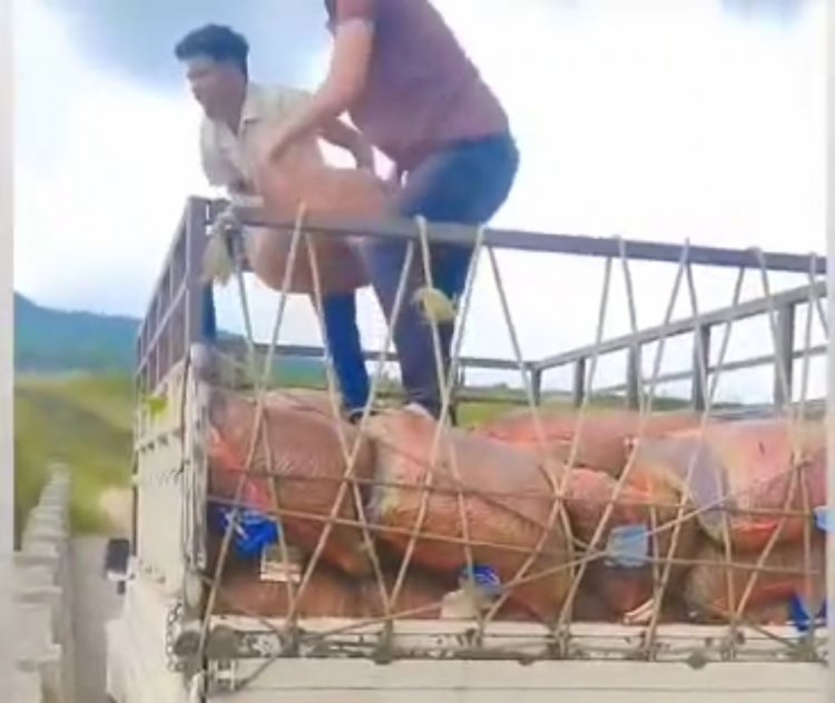 जशपुर: मिर्च का भाव गिरने से किसान परेशान " किसान मिर्च फेकने को हुए मजबूर" सन्ना तहसील क्षेत्र में प्रतिवर्ष सैकड़ों एकड़ में होती है खेती... पढ़िए पूरी खबर