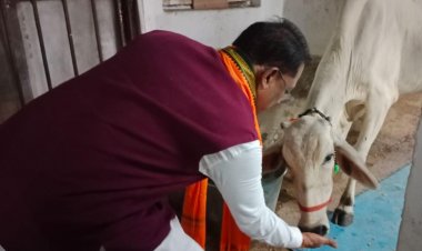 मुख्यमंत्री श्री साय ने सीएम हाउस में गौमाता को रोटी और गुड़ खिलाकर प्रदेशवासियों के कल्याण की प्रार्थना की