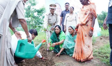 प्रधानमंत्री नरेंद्र मोदी के जन्म दिवस पर हुआ पौधारोपण, शाम को होगा दीप प्रज्वलन कार्यक्रम, मुख्यमंत्री की धर्मपत्नी श्रीमती कौशल्या साय ने एकजुटता और राष्ट्र प्रगति का दिया संदेश..