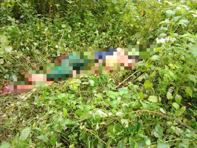 हाथी के हमले से महिला की दर्दनाक मौत  परिजन सहित स्थानीय ग्रामीणों ने वन विभाग पर लगाया लापरवाही का आरोप।