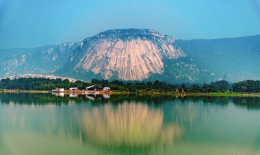 मयाली नेचर कैम्प में ऑनलाईन बुकिंग प्रारंभ   