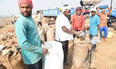 राज्य के सभी जिलों में समर्थन मूल्य पर धान खरीदी का सिलसिला जारी