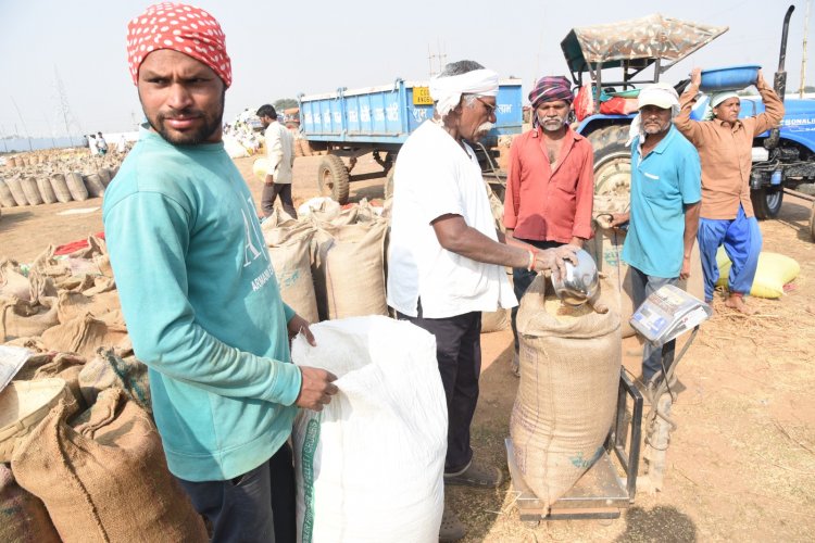 राज्य के सभी जिलों में समर्थन मूल्य पर धान खरीदी का सिलसिला जारी
