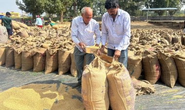 पारदर्शी व्यवस्था से खुशहाल किसान—3100 रुपये समर्थन मूल्य से नंद कुमार ने जताया मुख्यमंत्री विष्णु देव साय के प्रति आभार