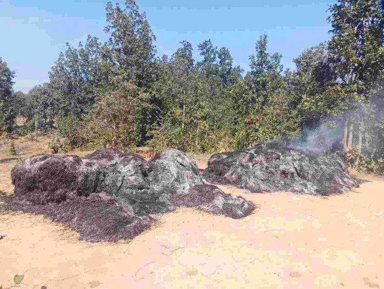 Breaking Jashpur: पहाड़ी कोरवा के खलिहान में धान के गांज में लगी भीषण आग , देर रात अज्ञात लोगों ने दिया घटना को अंजाम 