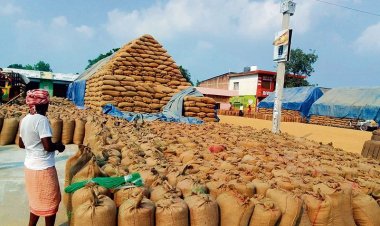 बड़ी खबर: पंडरापाठ सोसाइटी में पड़ती भूमि एवं अन्य अनाज के रकबा में धान लिखवा कर धान का क्रय-विक्रय करने के मामले में हुई भौतिक सत्यापन की मांग